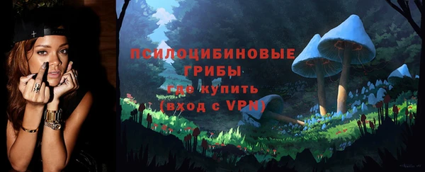 спиды Вяземский