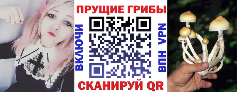 omg tor  Менделеевск  Псилоцибиновые грибы ЛСД  как найти закладки 